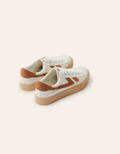 Deportiva Blanca Franjas