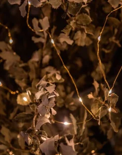 Mini Tira De Luces