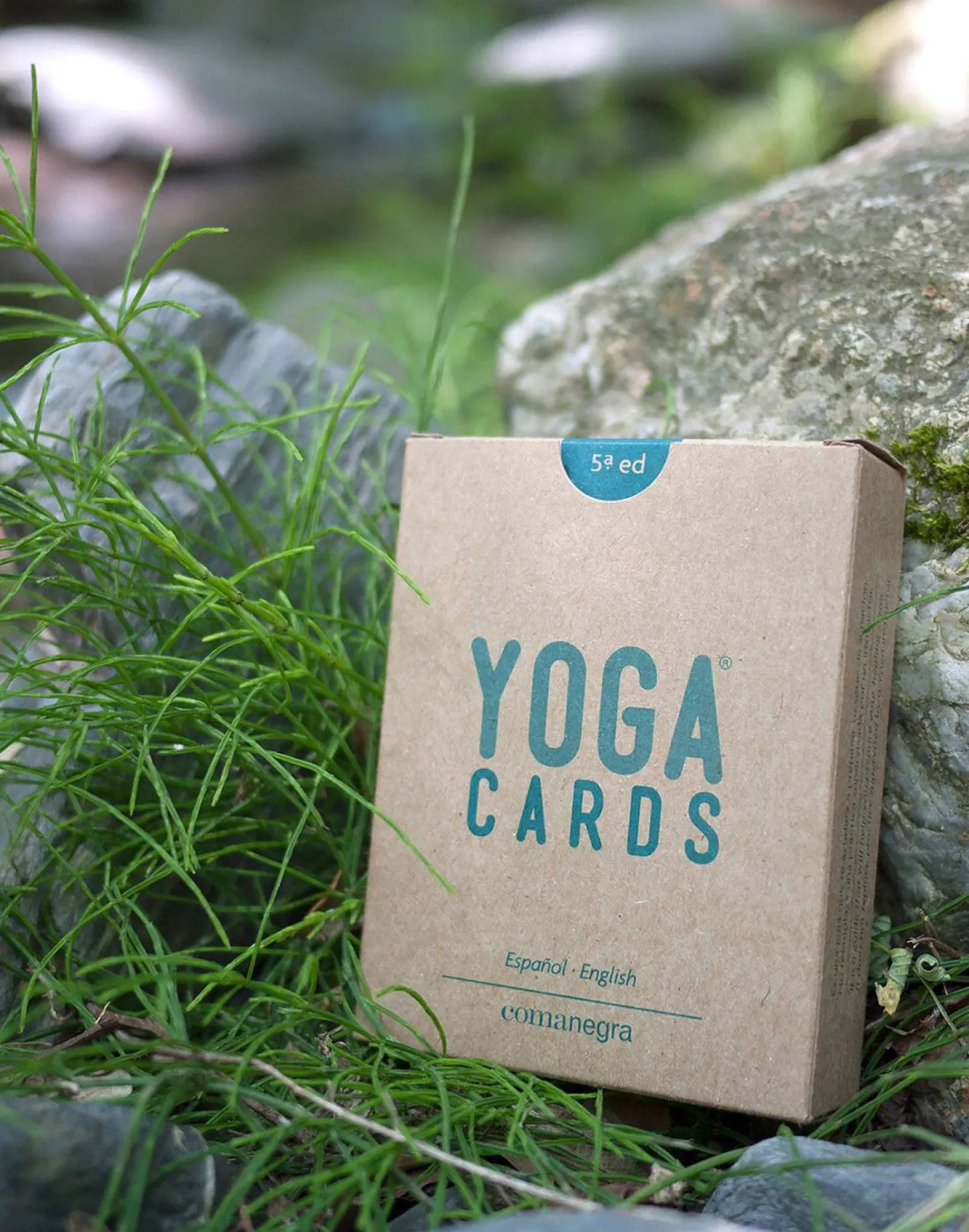 Yoga Cards